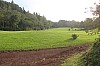 2696.jpg 2696.jpg