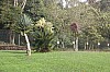 2698.jpg 2698.jpg