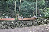 2710.jpg 2710.jpg