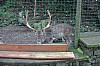 2718.jpg 2718.jpg