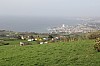 2790.jpg 2790.jpg