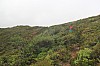 2888.jpg 2888.jpg