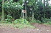2960.jpg 2960.jpg