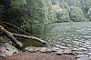 2984.jpg 2984.jpg