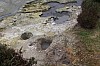3030.jpg 3030.jpg