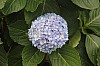 3158.jpg 3158.jpg