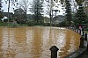 3190.jpg 3190.jpg