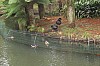 3212.jpg 3212.jpg