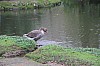 3214.jpg 3214.jpg