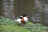 3218.jpg 3218.jpg