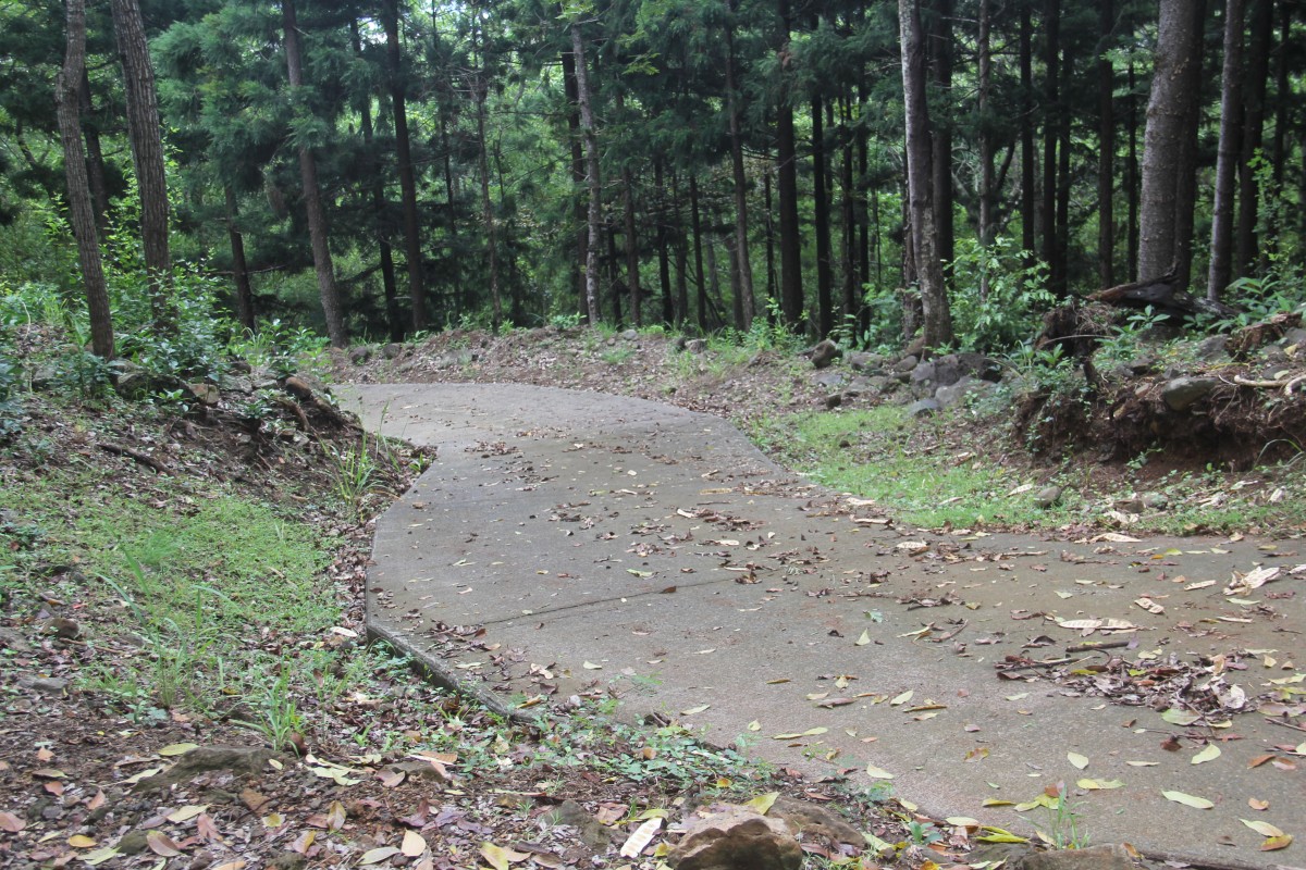 6472.jpg