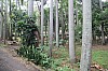 6419.jpg 6419.jpg