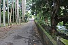 6424.jpg 6424.jpg