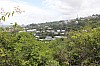 6451.jpg 6451.jpg