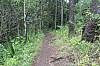 6499.jpg 6499.jpg