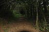 6508.jpg 6508.jpg