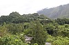 7705.jpg 7705.jpg