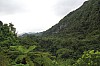 7781.jpg 7781.jpg