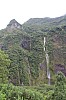 7803.jpg 7803.jpg