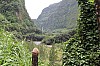 7897.jpg 7897.jpg