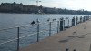 20180131_115119.jpg 20180131_115119.jpg