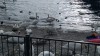 20180131_115143.jpg 20180131_115143.jpg