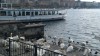 20180131_115146.jpg 20180131_115146.jpg