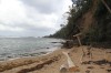 20180221_8788.jpg 20180221_8788.jpg