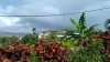 20180222_073934.jpg 20180222_073934.jpg