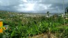 20180222_073952.jpg 20180222_073952.jpg