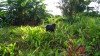 20180222_074016.jpg 20180222_074016.jpg