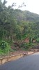 20180222_104454.jpg 20180222_104454.jpg
