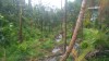 20180222_110336.jpg 20180222_110336.jpg