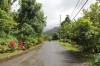 20180222_8820.jpg 20180222_8820.jpg