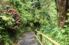 20180222_8882.jpg 20180222_8882.jpg