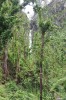 20180222_8883.jpg 20180222_8883.jpg
