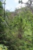 20180222_8884.jpg 20180222_8884.jpg