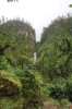 20180222_8887.jpg 20180222_8887.jpg