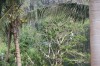 20180222_8920.jpg 20180222_8920.jpg