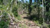 20180223_095431.jpg 20180223_095431.jpg