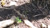 20180223_095544.jpg 20180223_095544.jpg
