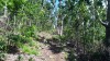 20180223_095726.jpg 20180223_095726.jpg