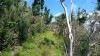 20180223_100239.jpg 20180223_100239.jpg