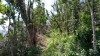 20180223_100724.jpg 20180223_100724.jpg