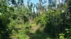 20180223_104705.jpg 20180223_104705.jpg