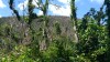 20180223_104713.jpg 20180223_104713.jpg