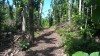 20180223_105023.jpg 20180223_105023.jpg