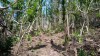 20180223_105119.jpg 20180223_105119.jpg