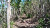 20180223_105238.jpg 20180223_105238.jpg