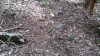 20180223_112929.jpg 20180223_112929.jpg